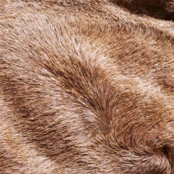 NWT Maurizio Taiuti leather/calf hair shoulder bag - Picture 2 of 7